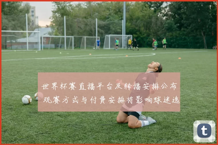世界杯赛直播平台及转播安排公布 观赛方式与付费安排将影响球迷选择