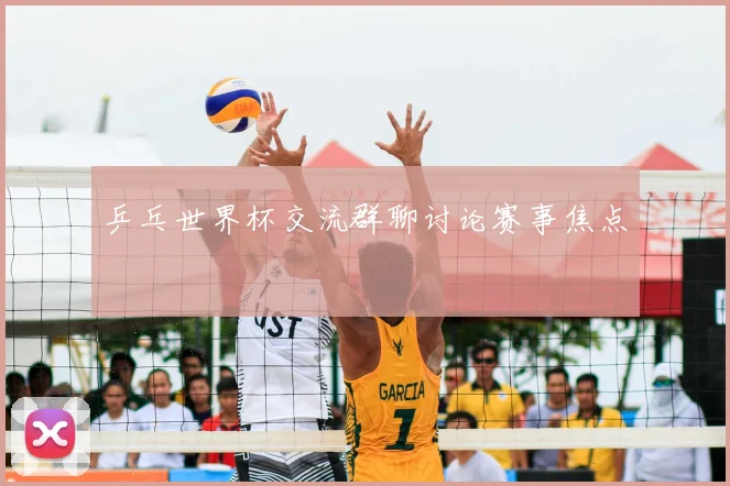 乒乓世界杯交流群聊讨论赛事焦点