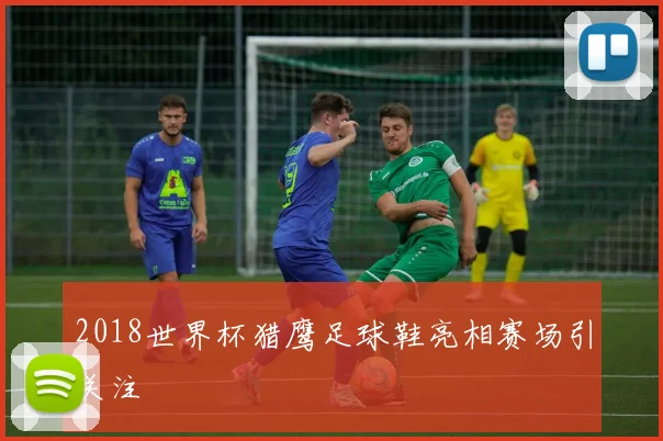 2018世界杯猎鹰足球鞋亮相赛场引关注