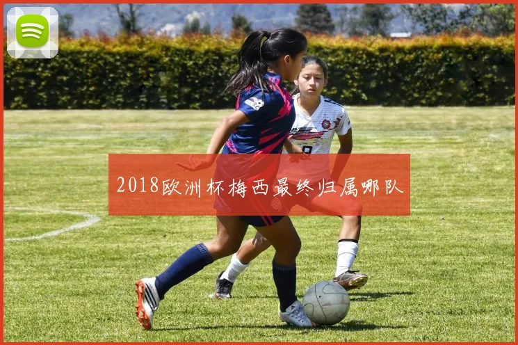 2018欧洲杯梅西最终归属哪队