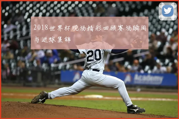 2018世界杯现场精彩回顾赛场瞬间与进球集锦